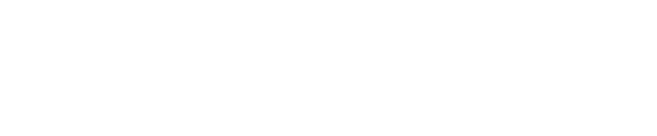 Ron Essex Photography Logo